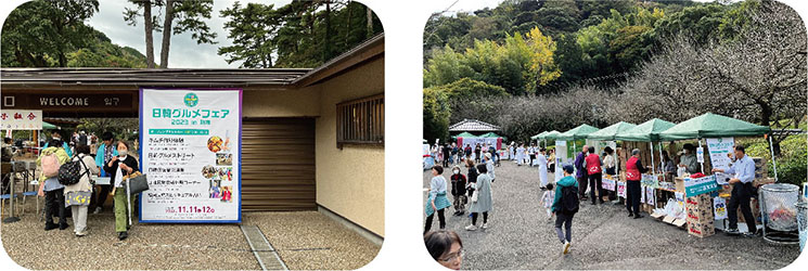 2023nikkan